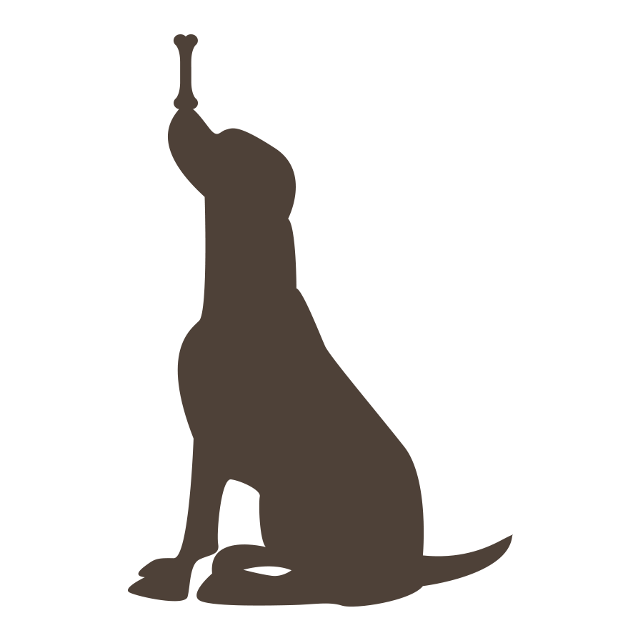 动物,png,彩色