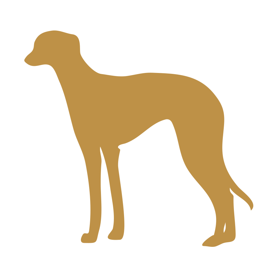 动物,png,彩色
